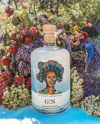 ICONIC African Gin 500ml - Togetherstore Zambia