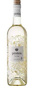 Protea Pinot Grigio 750ml - Togetherstore Zambia