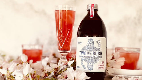 TWO IN A BUSH Rooibos Iced Tea Cordial 500ml - Togetherstore Zambia